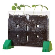 Sprout & Grow Window